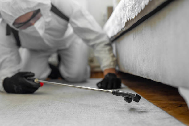 Professional Bed Bug Control technician working in Lafourche Parish County, LA